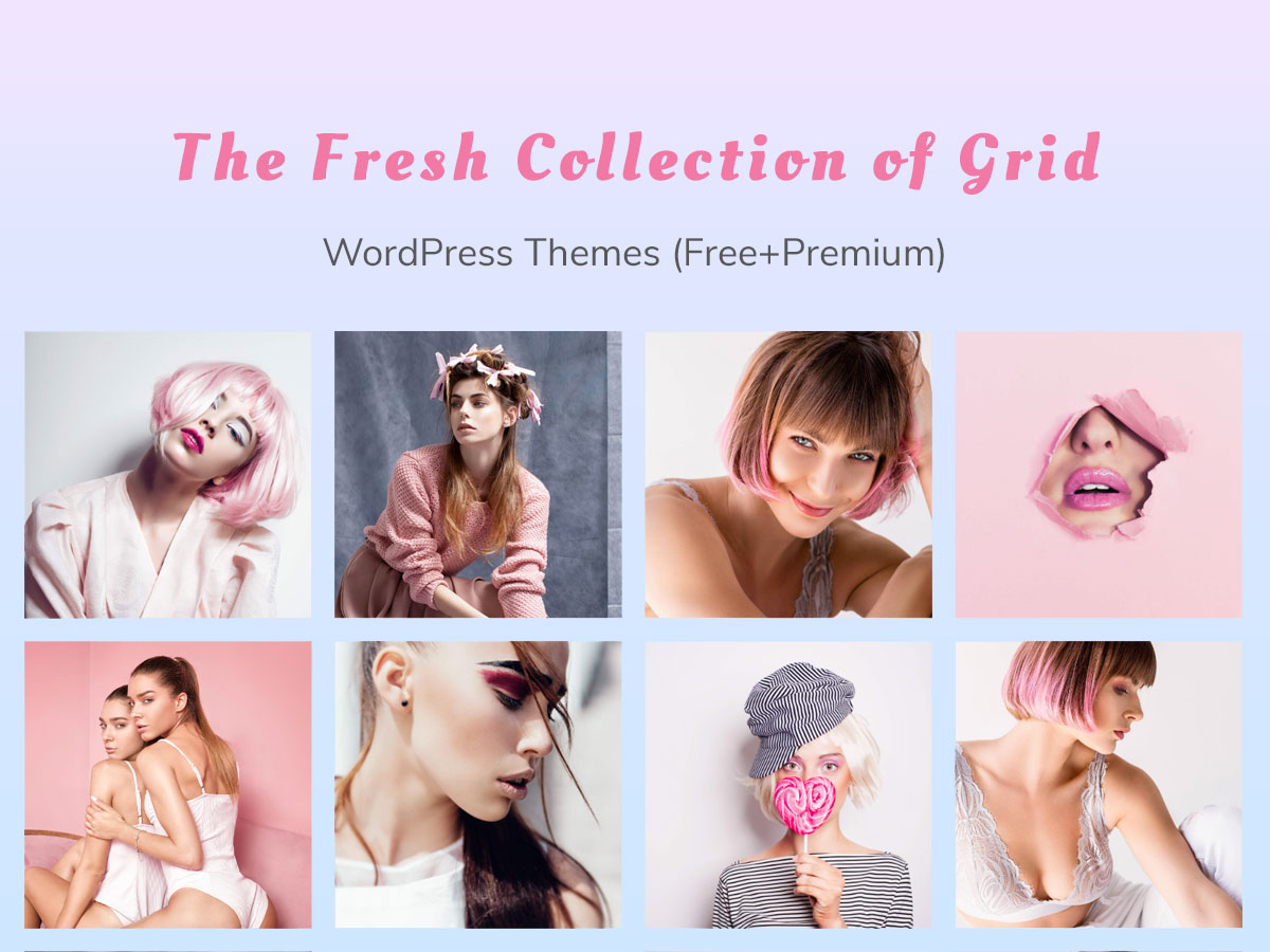 The Fresh Collection of Grid WordPress Themes
