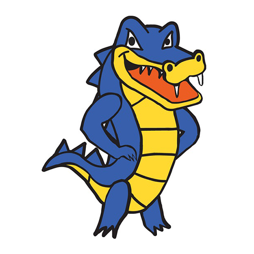 hostgator wordpress hosting