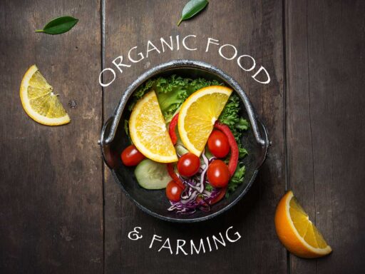 Organic Food and Farming WordPress Themes A Stunning Bunch