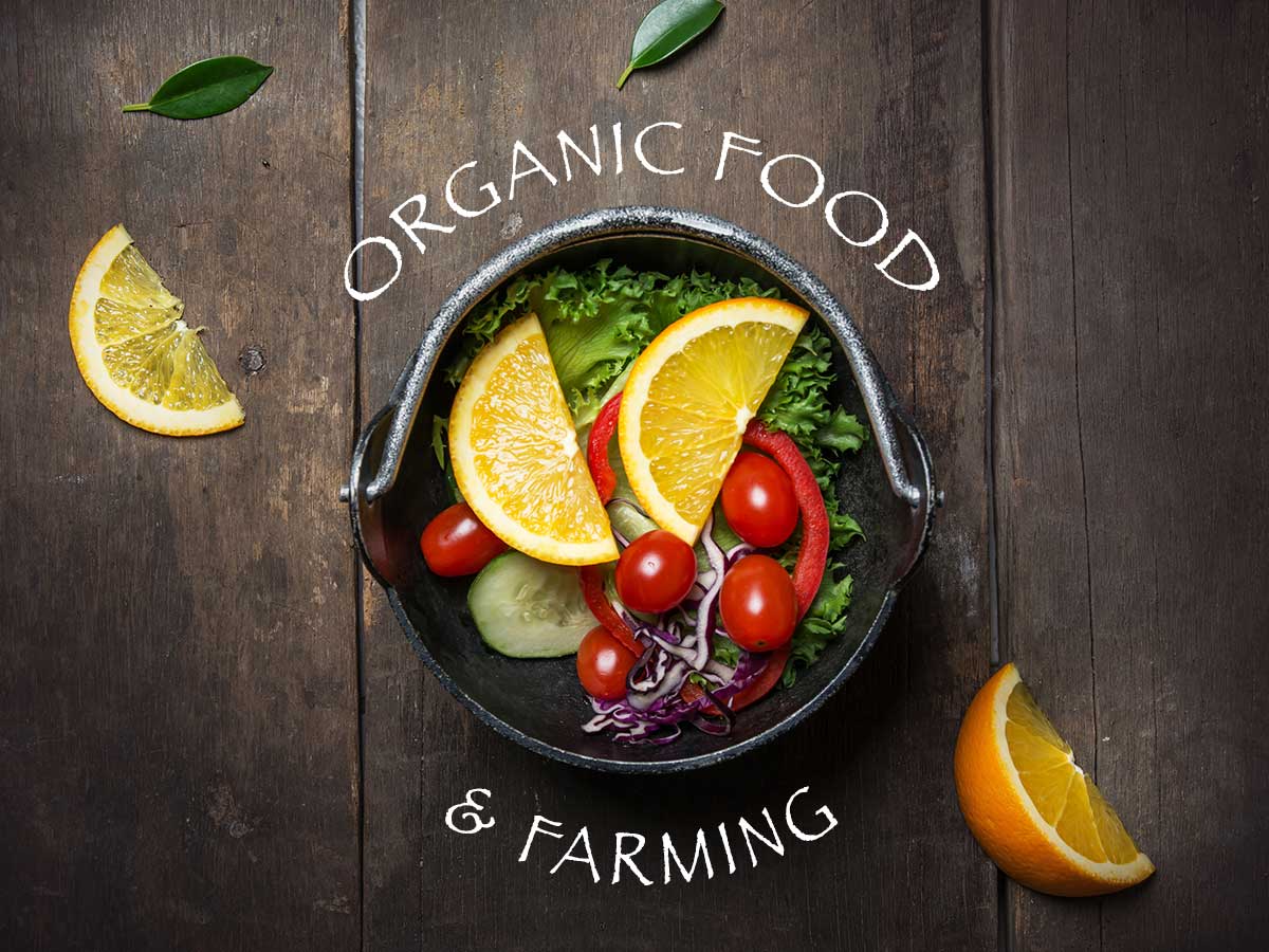 organic-food-and-farming-wordpress-themes-a-stunning-bunch