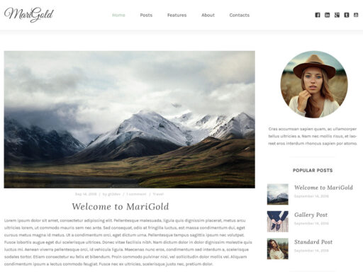 marigold a responsive free wordpress blog theme