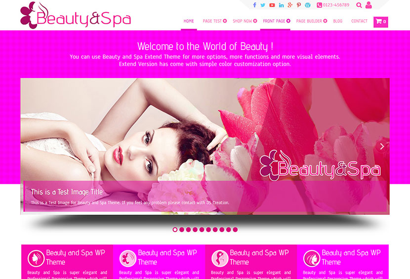 Custom WordPress Site for A Step Above Salon | eXcelisys