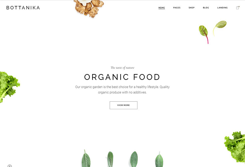 Bottanika - Organic Food Store