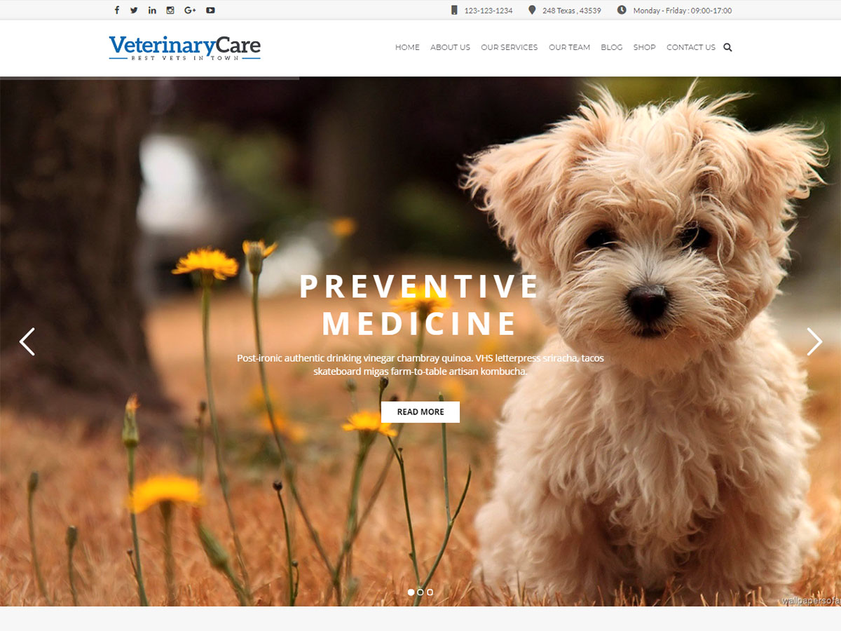 Pets Shelter and Home Pets WordPress Themes for Non-Profits, Canine Handlers and Animal Fanciers