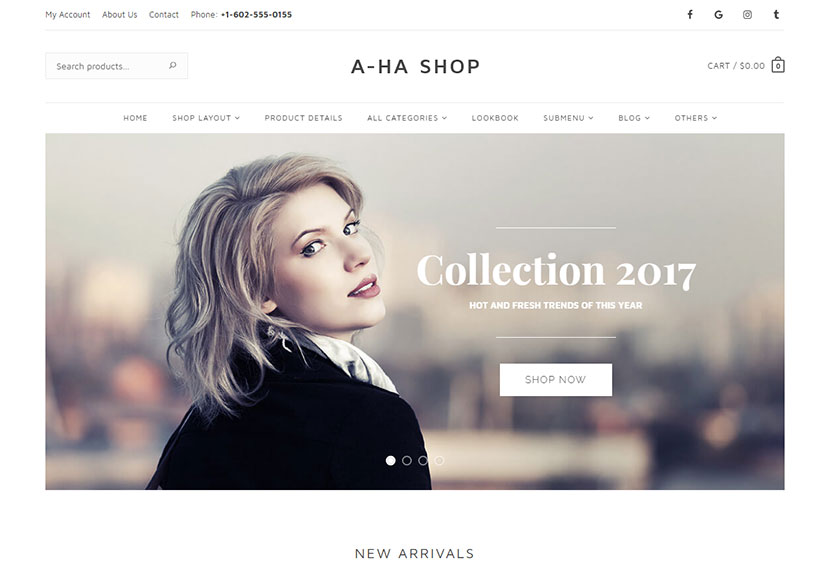 Clothing Store - WordPress theme