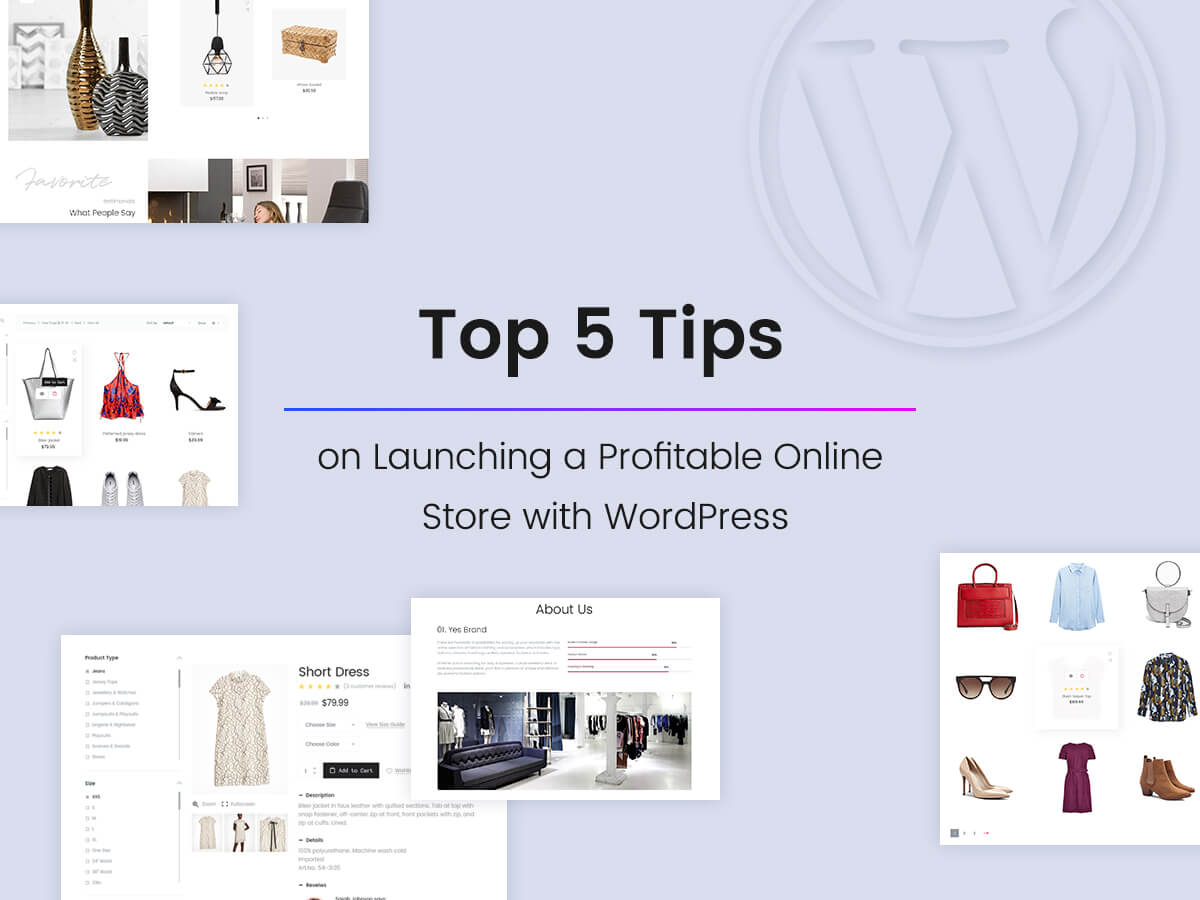 Top 5 Tips on Launching a Profitable Online Store With WordPress + Useful Plugins