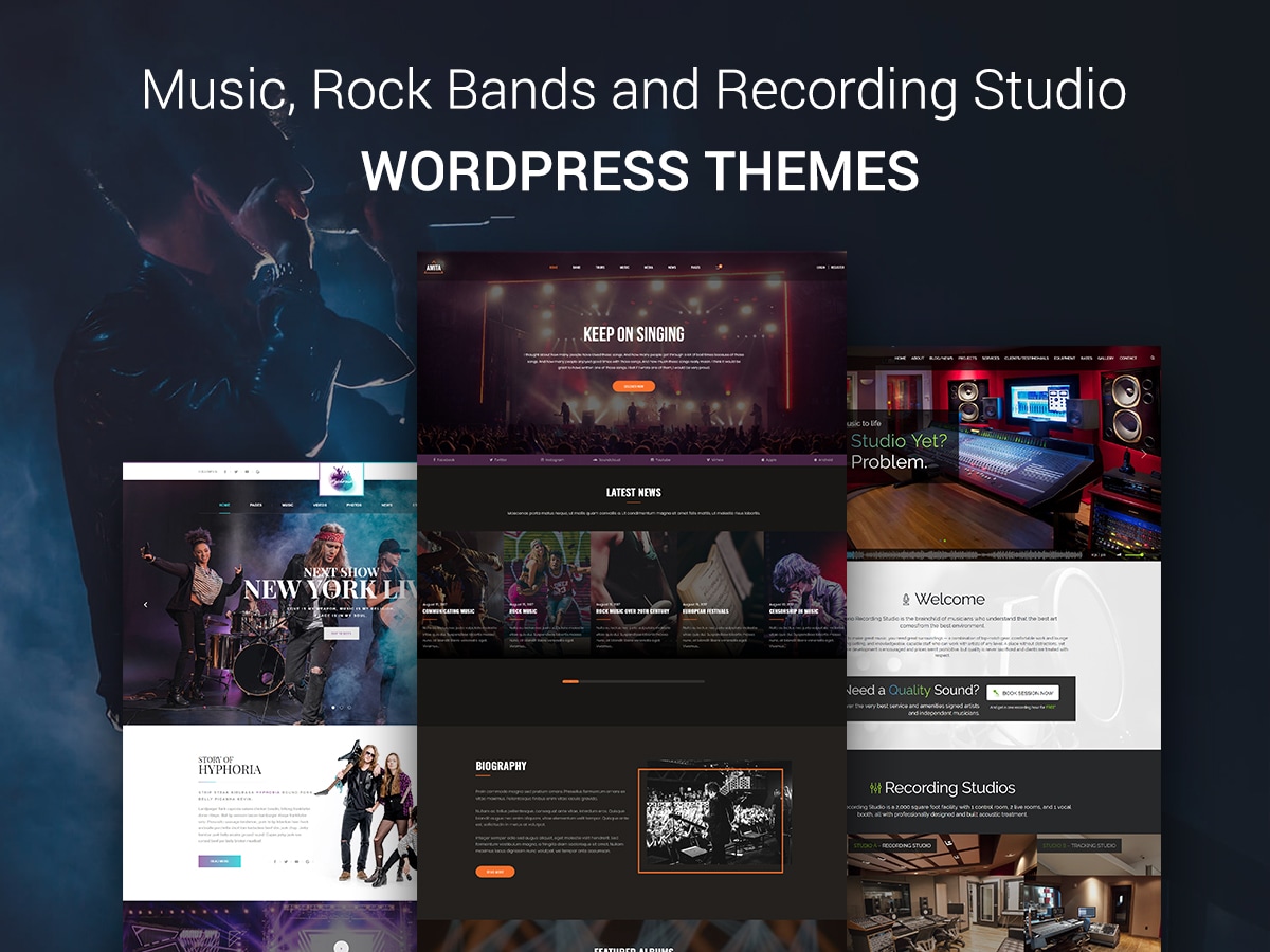 Music, Rock Bands and Recording Studio WordPress Themes for Entertainment Websites