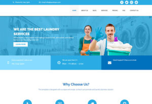 Laundry And Dry Cleaning WordPress Themes - WP Daddy